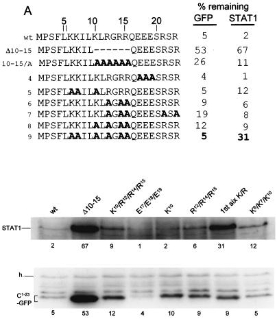 FIG. 6.