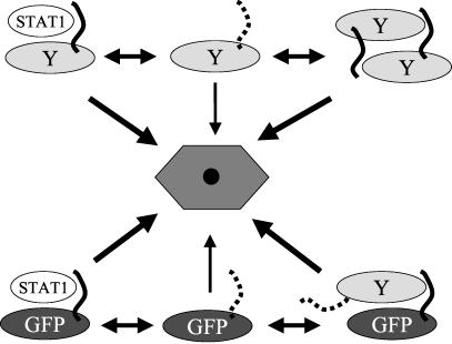 FIG. 8.