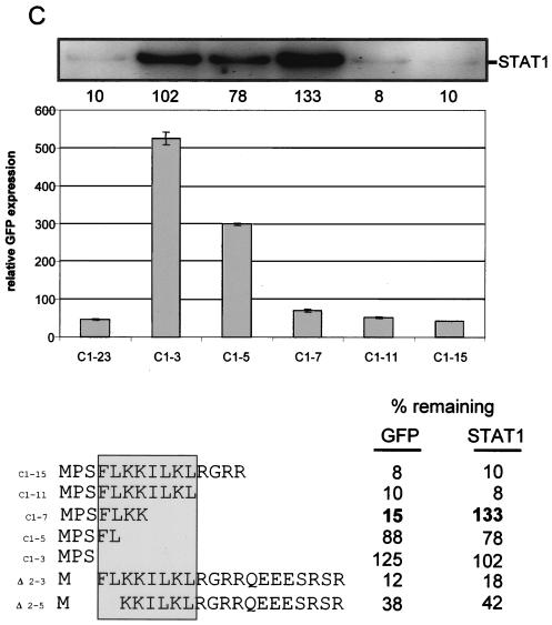 FIG. 6.