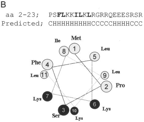 FIG. 5.