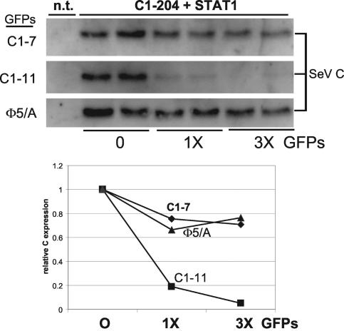 FIG. 7.