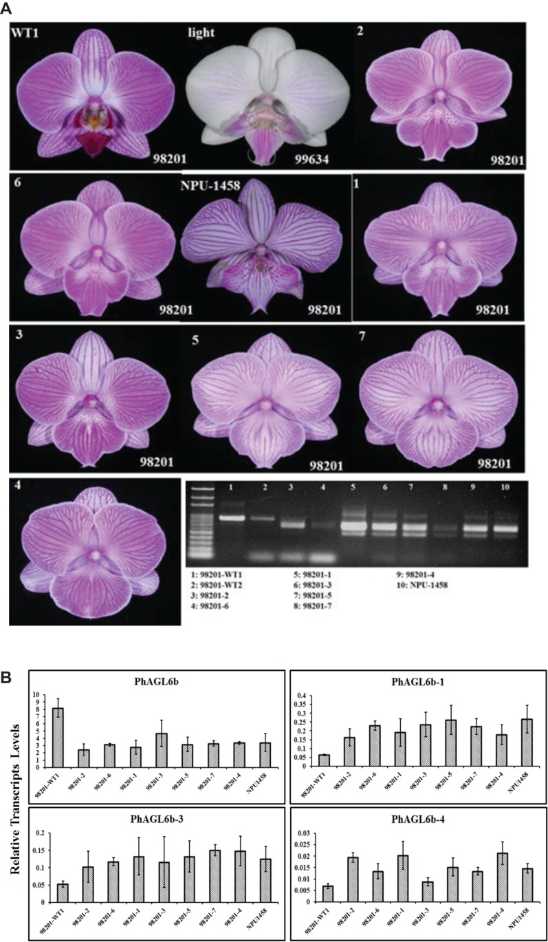 Figure 4