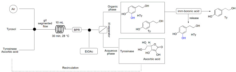 Scheme 1