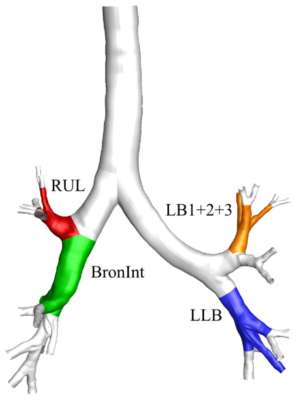 Fig. 11