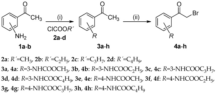 Scheme 1