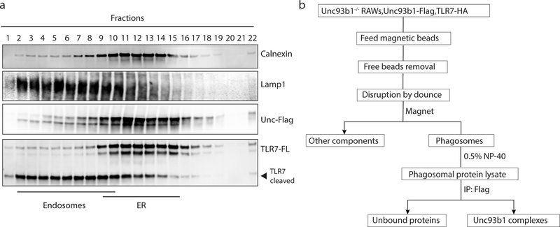 Extended Data Fig. 4: