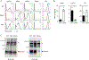 Extended Data Fig. 2: