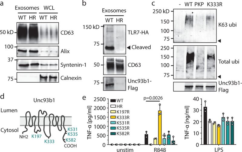 Fig. 2: