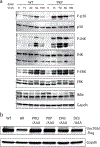 Extended Data Fig. 1: