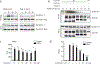 Extended Data Fig. 5: