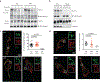 Extended Data Fig. 3: