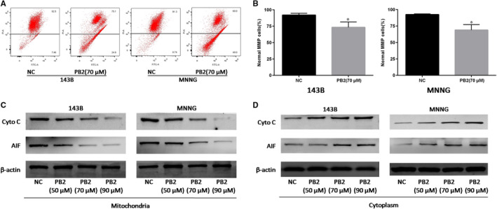 FIGURE 3