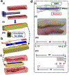 Fig. 2.