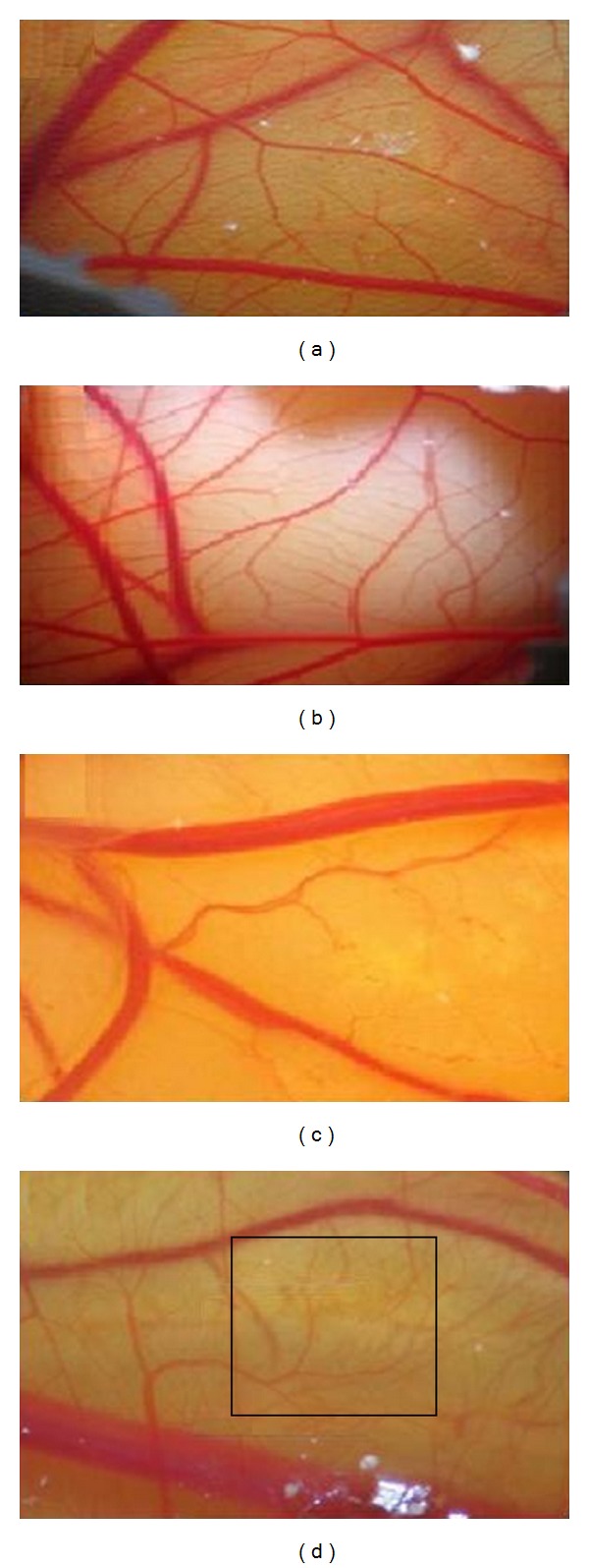 Figure 6