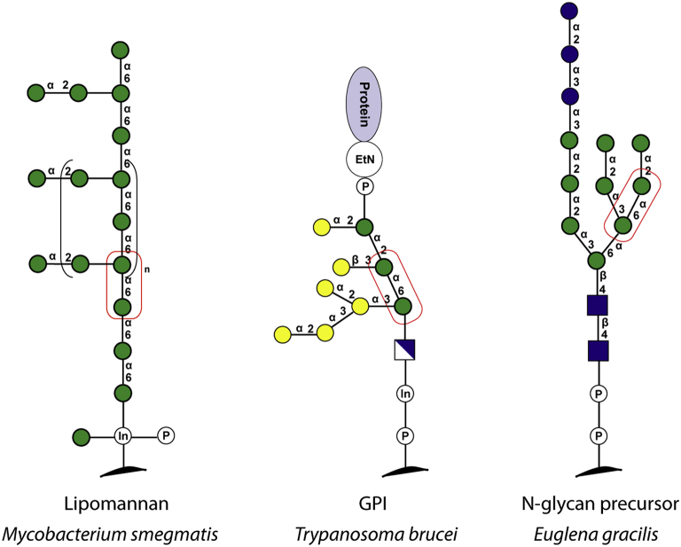 Fig. 2