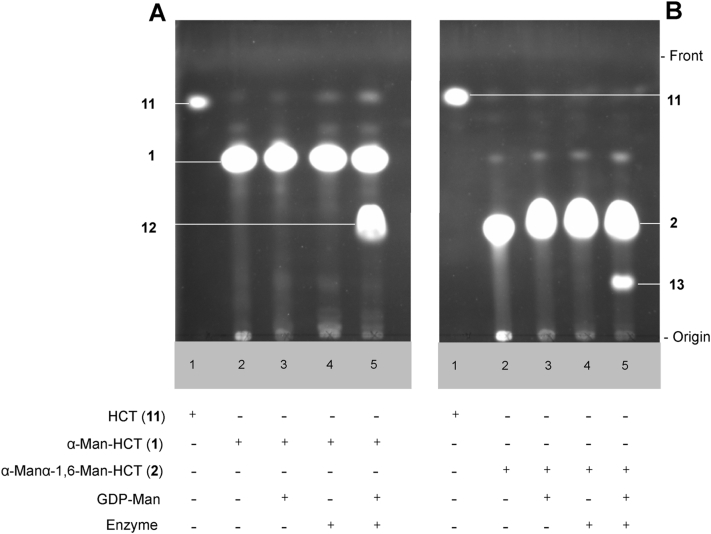 Fig. 3