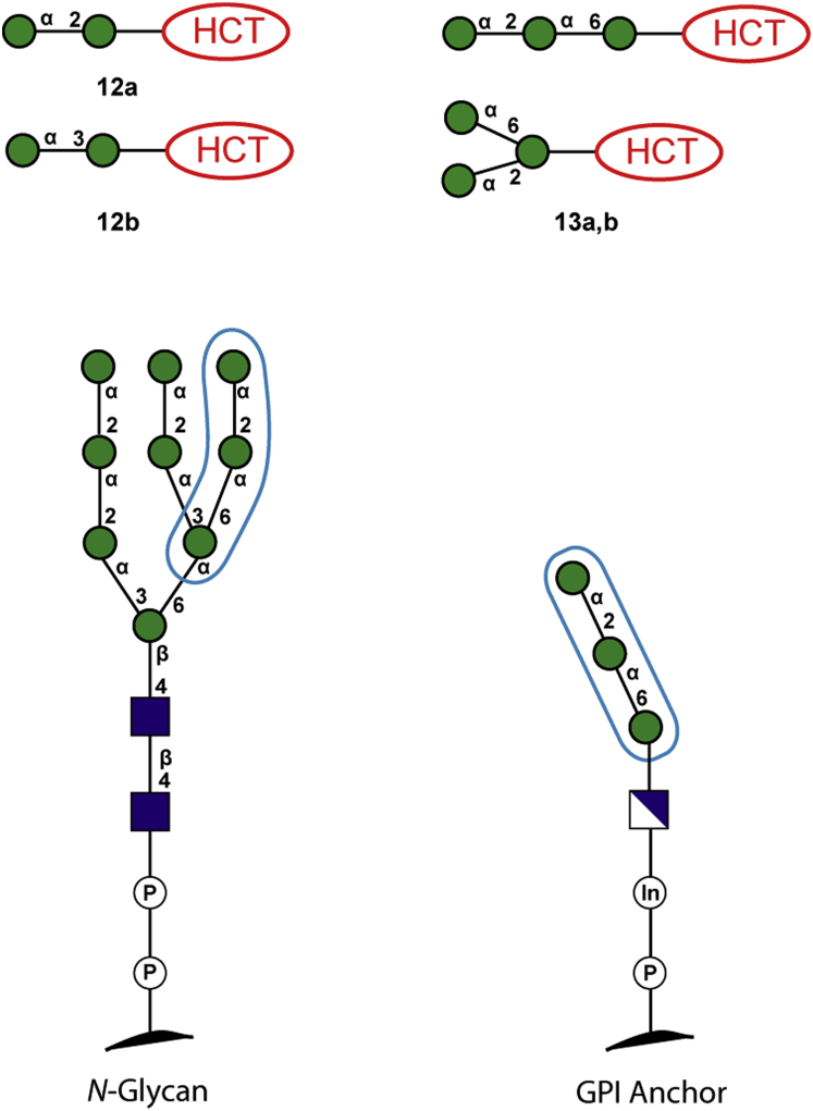 Fig. 5