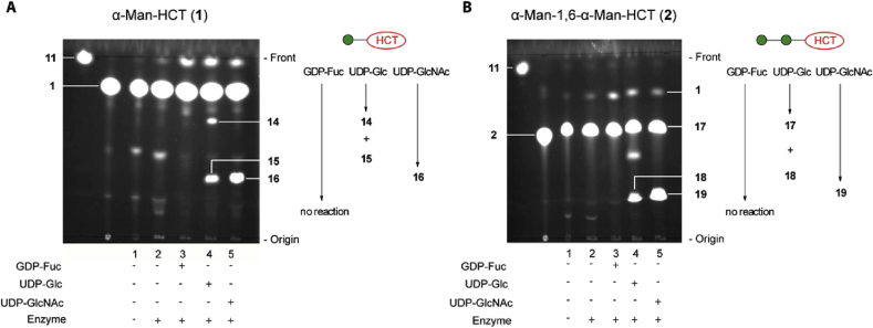 Fig. 6