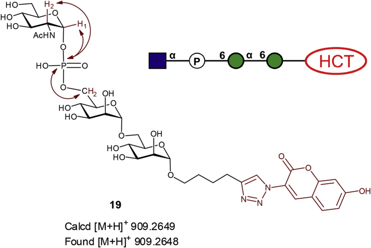 Fig. 11