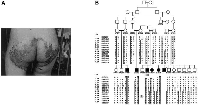 Figure  1