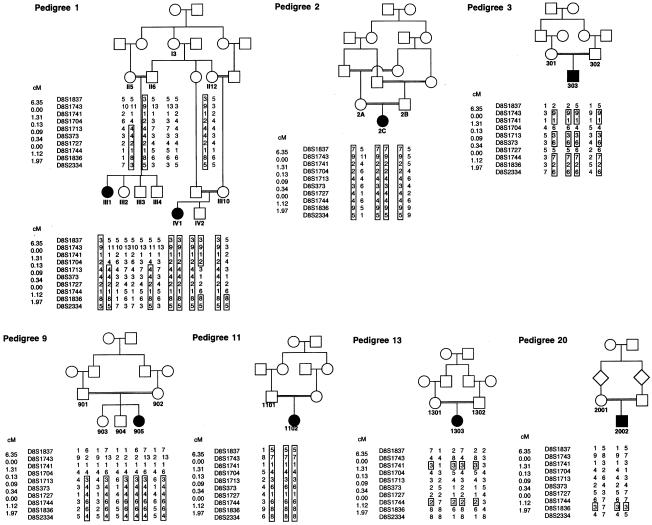 Figure  2