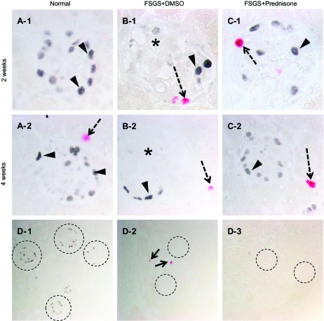 Fig. 5.