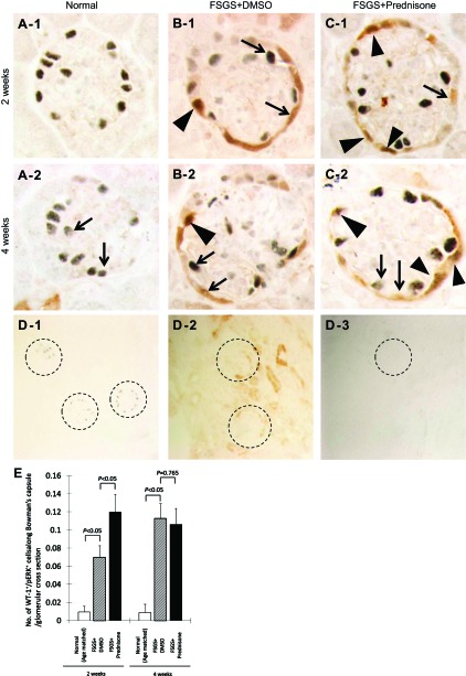 Fig. 9.