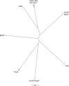 FIG 2