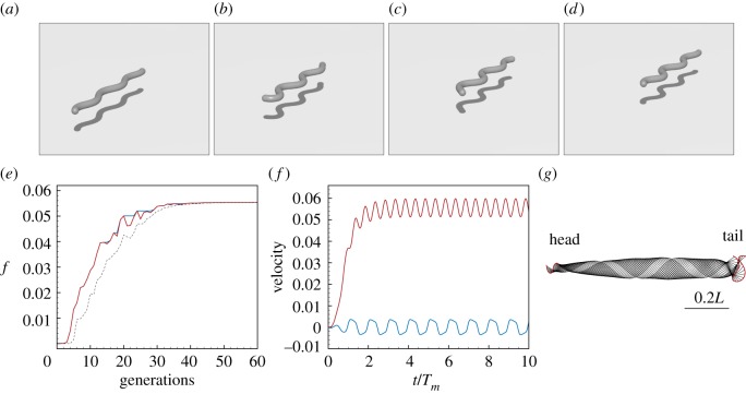 Figure 11.