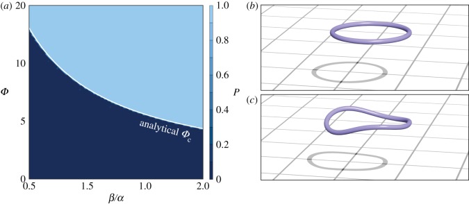 Figure 15.