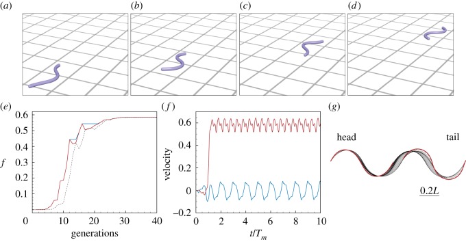 Figure 10.