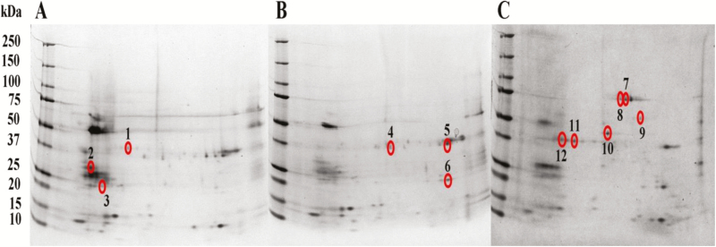 Fig. 3.