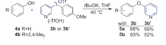 Scheme 6