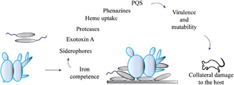 Figure 10