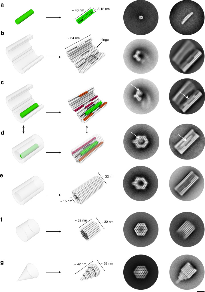 Fig. 2