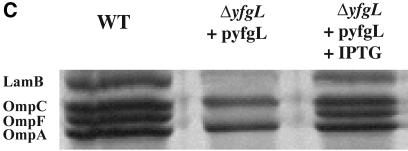 FIG.4.