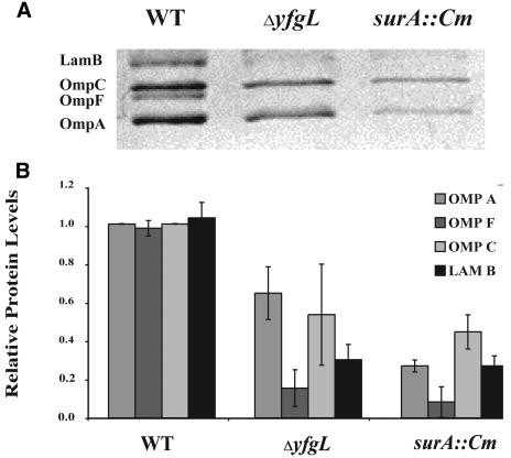 FIG.4.