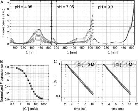 FIGURE 3