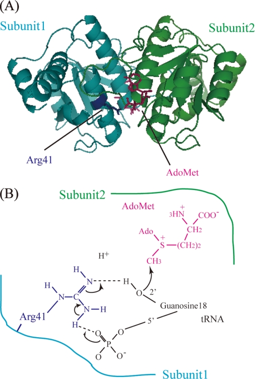 FIGURE 1.