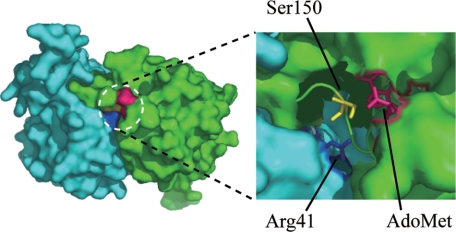 FIGURE 7.