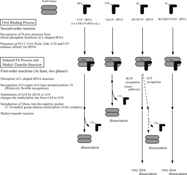 FIGURE 10.