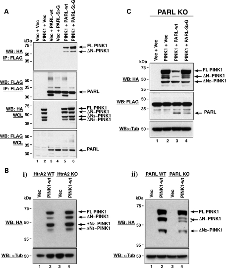 Figure 4.