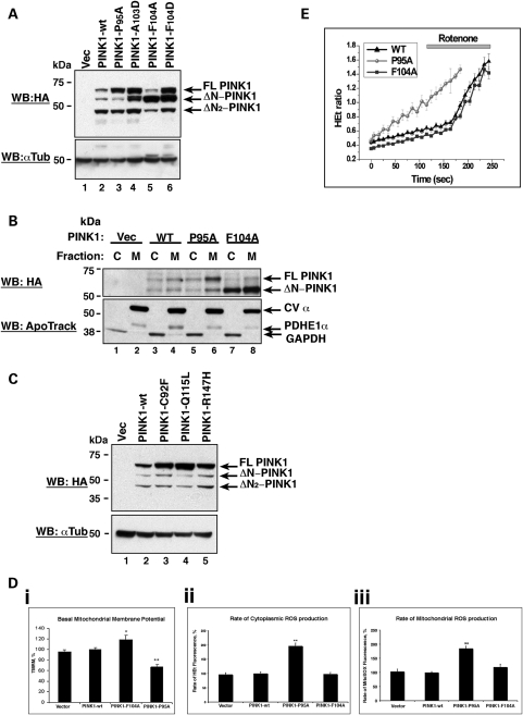 Figure 2.