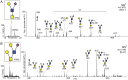 Fig. 4.