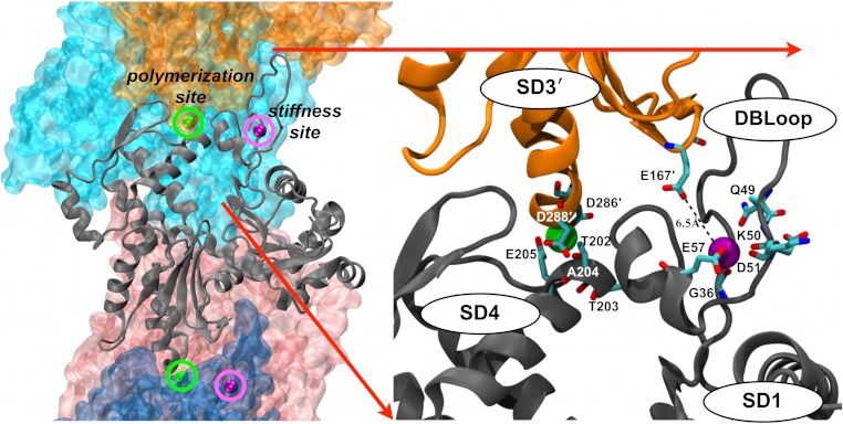 Fig. 3.