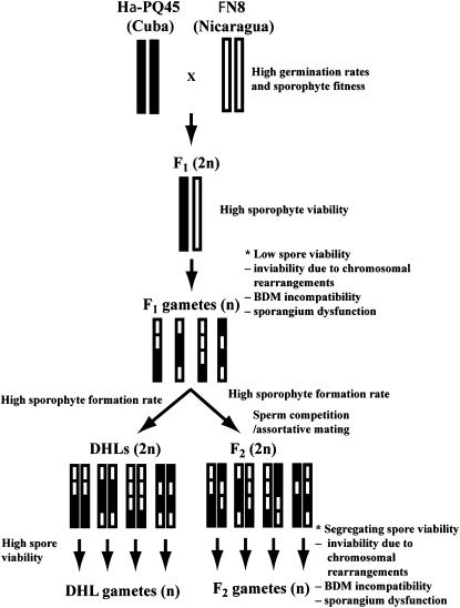 Figure 1.—