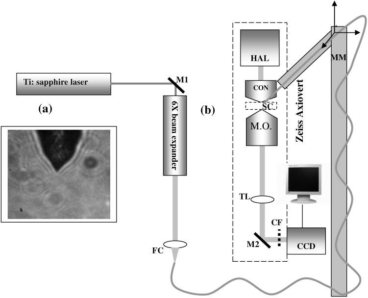 Fig. 1