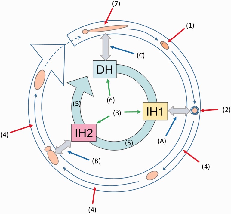 Fig. 2