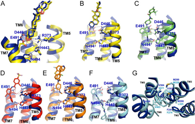 Figure 6