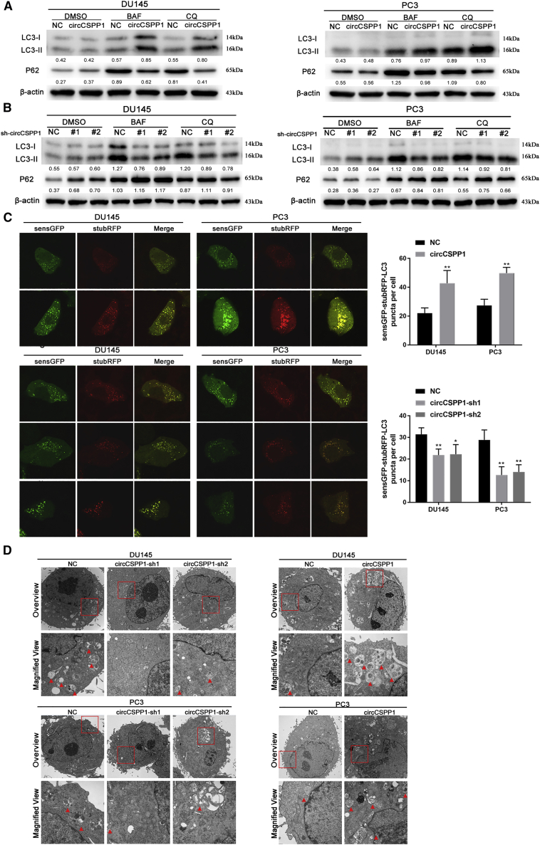 Figure 4